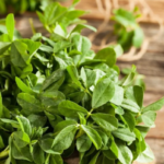 Fenugreek Leaves