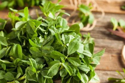 Fenugreek Leaves